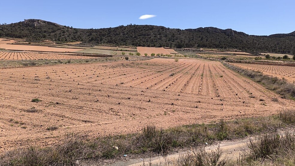 Terrain dans Abanilla, Murcia à vendre - Photo principale - Image 2 de 4