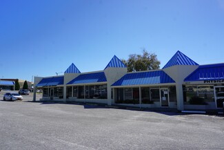 Plus de détails pour 38030 Medical Center Ave, Zephyrhills, FL - Bureau/Médical à louer