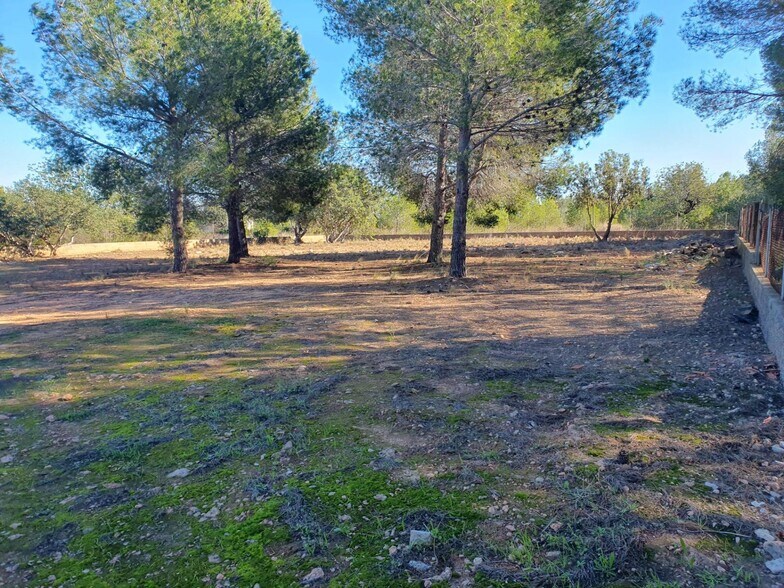 Terrain dans La Pobla de Vallbona, Valencia à vendre - Photo principale - Image 3 de 5