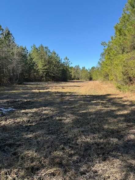 0 Sniders Hwy, Walterboro, SC for sale - Building Photo - Image 3 of 8