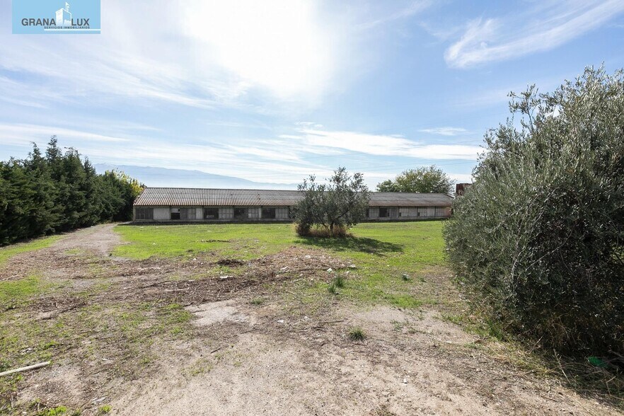 Camino del Albarrate, 6, Atarfe, Granada à vendre - Photo du bâtiment - Image 2 de 24
