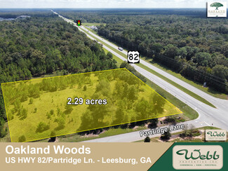 Plus de détails pour US 82/Patridge Lane hwy, Leesburg, GA - Terrain à vendre