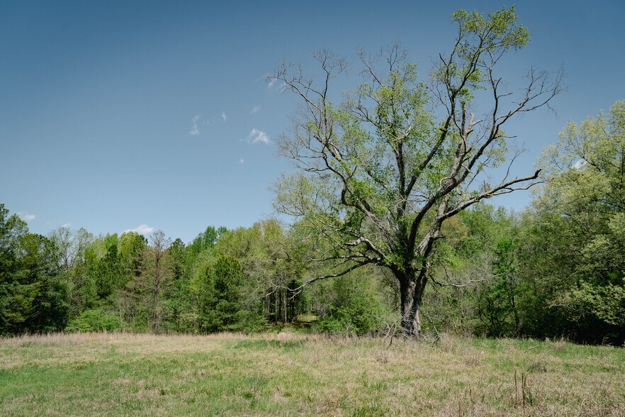 1162 Robinson Springs Rd, Madison, MS à vendre - Photo du bâtiment - Image 2 de 6