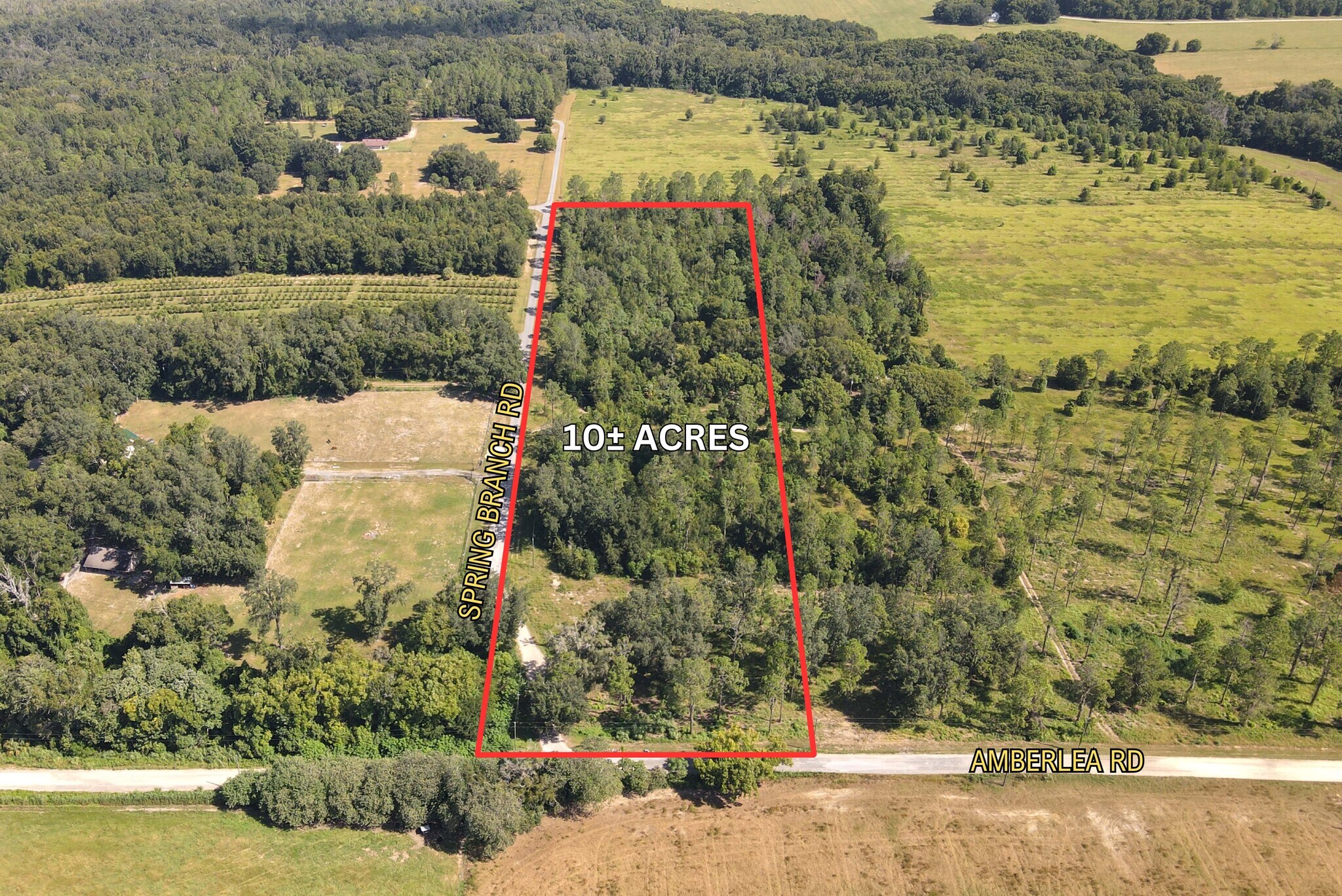 Amberlea Rd & Spring Branch Rd., Dade City, FL à vendre Aérien- Image 1 de 11