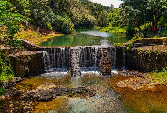 5545 Kahiliholo Rd, Kilauea, HI à vendre - Photo du bâtiment - Image 2 de 10