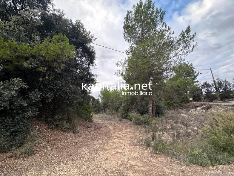 Land in Alfafara, Alicante for sale - Primary Photo - Image 1 of 5
