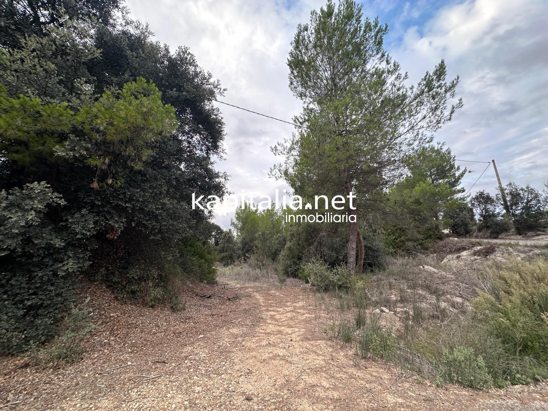 Land in Alfafara, Alicante for sale Primary Photo- Image 1 of 6