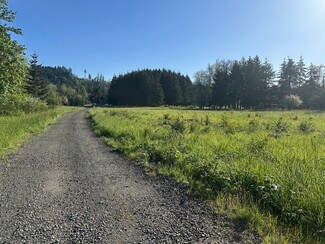 Plus de détails pour 26003 Salmon River Hwy, Willamina, OR - Terrain à vendre