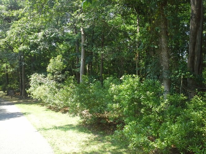10231 N Kings Hwy, Myrtle Beach, SC à vendre Photo principale- Image 1 de 8