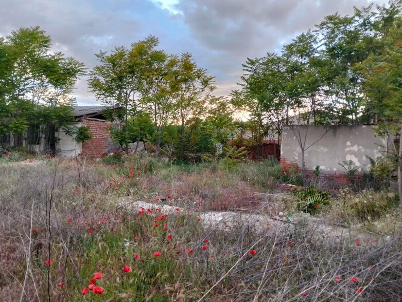 Land in Lillo, Toledo for sale - Other - Image 2 of 5