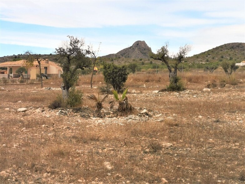 Land in Salinas, Alicante for sale - Primary Photo - Image 2 of 5