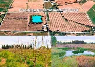 Plus de détails pour 4PJ2+JJ2 San Luis de Letras, Pabellón De Arteaga - Spécialité à vendre