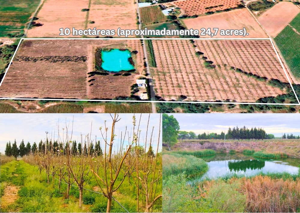 à vendre Plan cadastral- Image 1 de 6