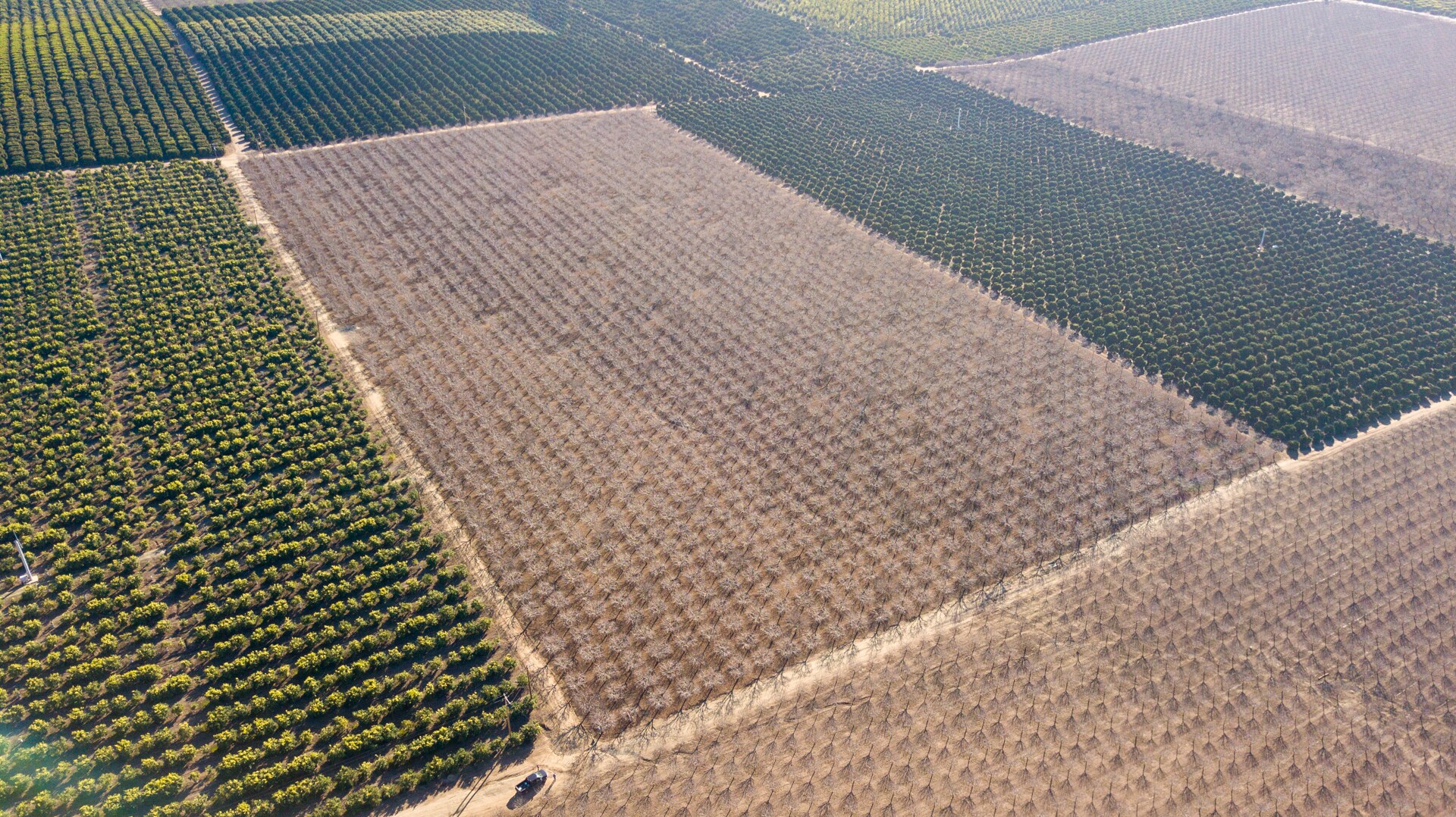 Ave 84/Rd 270, Terra Bella, CA à vendre Photo principale- Image 1 de 1