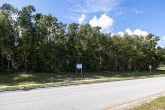 Plus de détails pour 1800 E Graves Ave, Orange City, FL - Terrain à vendre