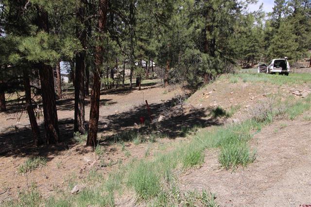 2116 County Road, Pagosa Springs, CO for sale - Building Photo - Image 3 of 3