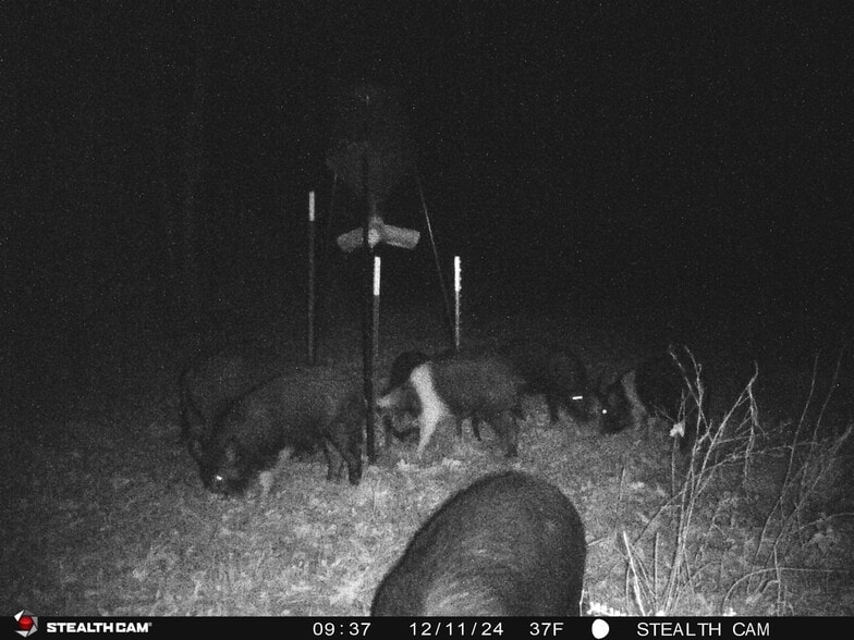 TBD CR 4117, Atlanta, TX for sale - Primary Photo - Image 2 of 22