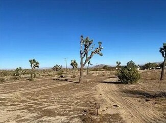 Plus de détails pour 57031 Buena Vista Dr, Yucca Valley, CA - Terrain à vendre