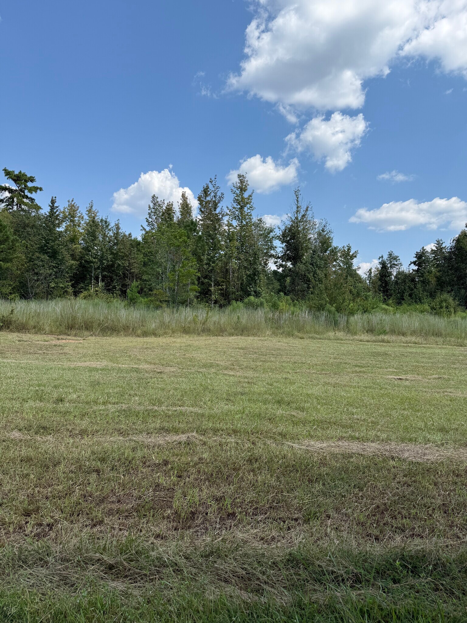 0 ALEX Rd, Gloster, MS à vendre Photo principale- Image 1 de 8