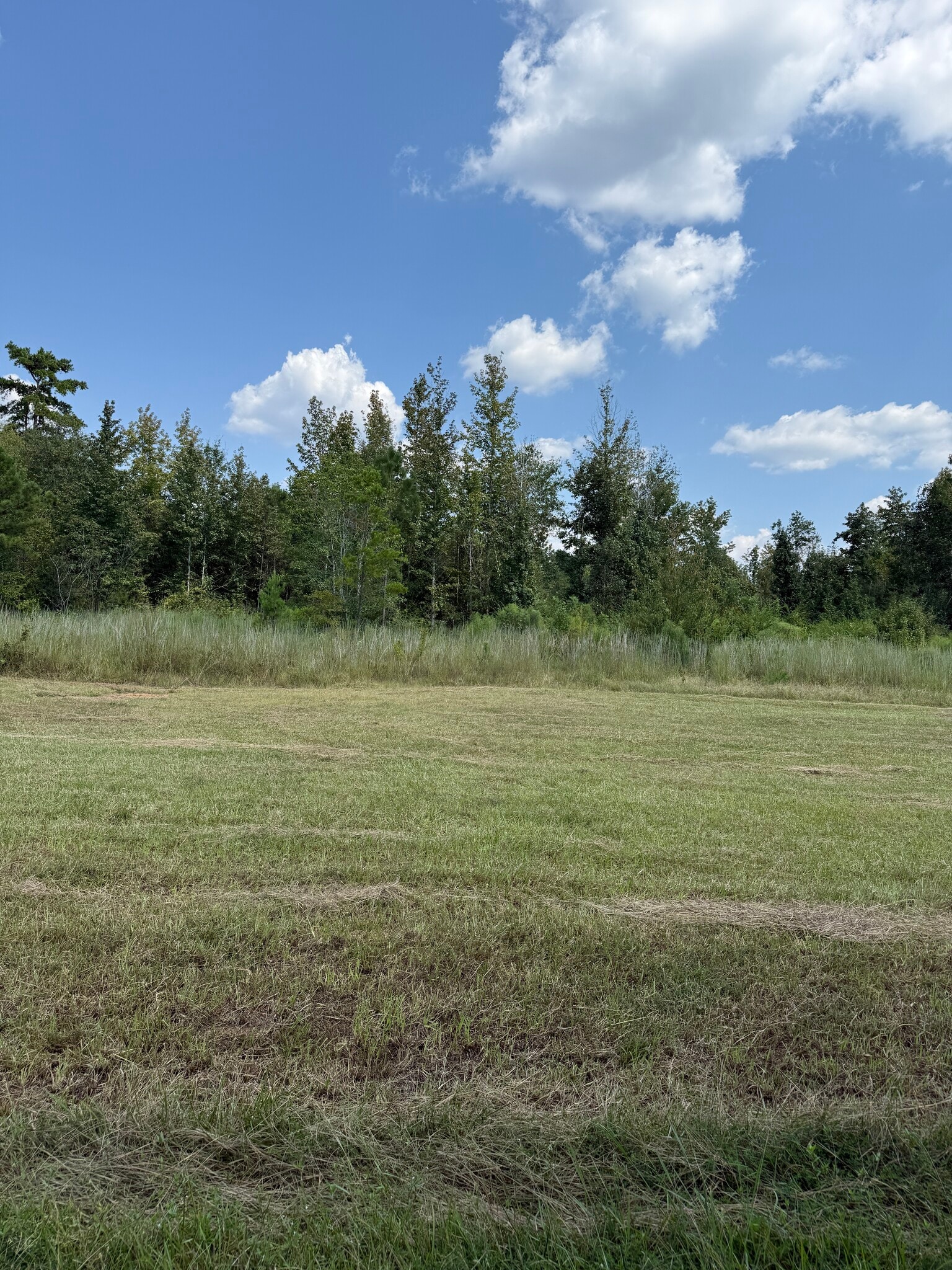 0 ALEX Rd, Gloster, MS for sale Primary Photo- Image 1 of 8