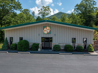 More details for 6573 NC 226 Rd, Spruce Pine, NC - Office for Sale