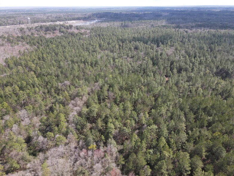 0 Highway 43 N., Axis, AL à vendre - Photo du bâtiment - Image 3 de 10