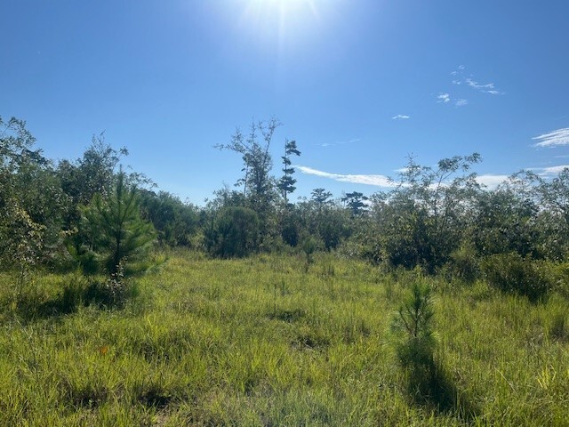 0 Downs Road, Quincy, FL for sale - Building Photo - Image 3 of 5