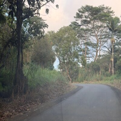 3-1-5-002-002, Pahoa, HI for sale - Other - Image 3 of 3