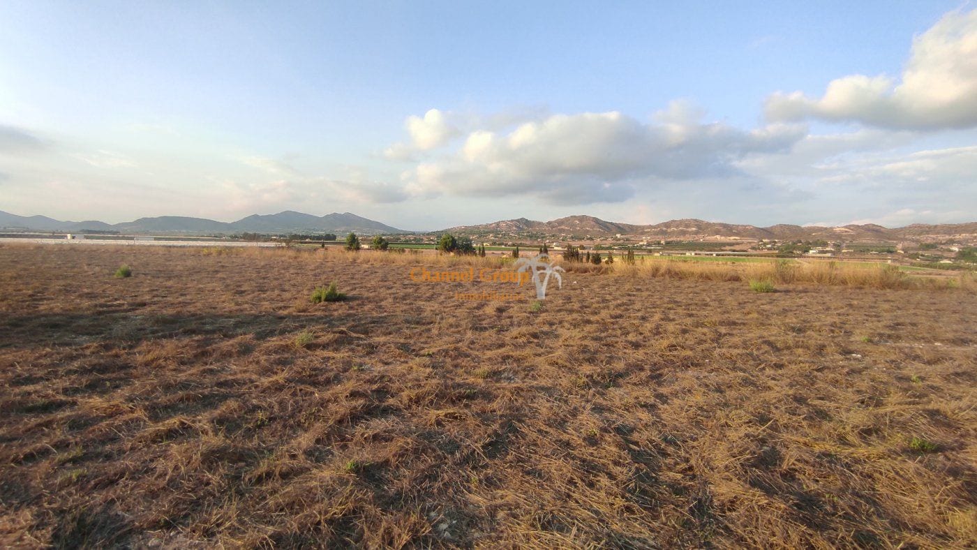 Partida Alcana, Aspe Pedanias, 49, Elche, Alicante for sale Aerial- Image 1 of 6