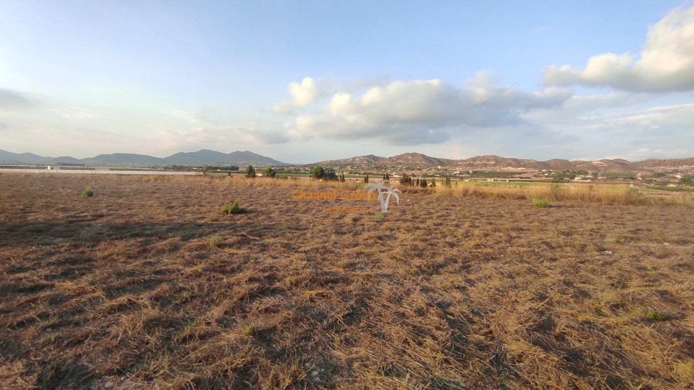 Partida Alcana, Aspe Pedanias, 49, Elche, Alicante à vendre Aérien- Image 1 de 6