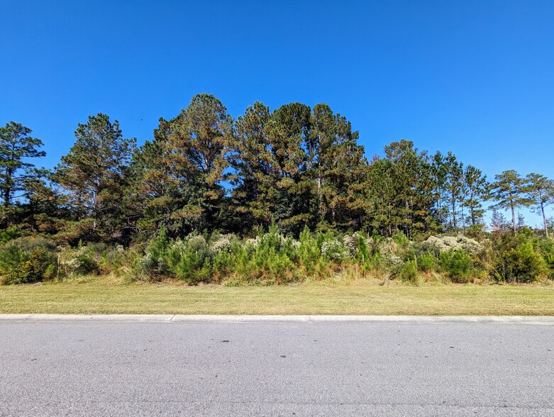 3028 Newcastle Loop, Myrtle Beach, SC for sale - Building Photo - Image 2 of 8