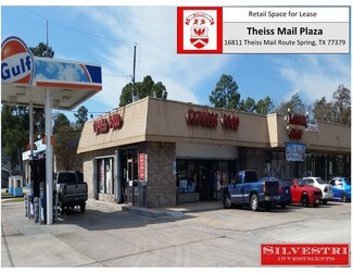 Plus de détails pour 16811-16825 Theiss Mail Route Rd, Spring, TX - Commerce de détail à louer