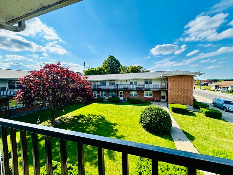 207 S Main St, Louisiana, MO for sale - Building Photo - Image 2 of 28