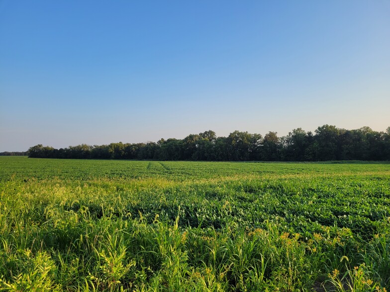 Highway DD (123.22 ac) Tract A, Bellflower, MO à vendre - Autre - Image 1 de 33