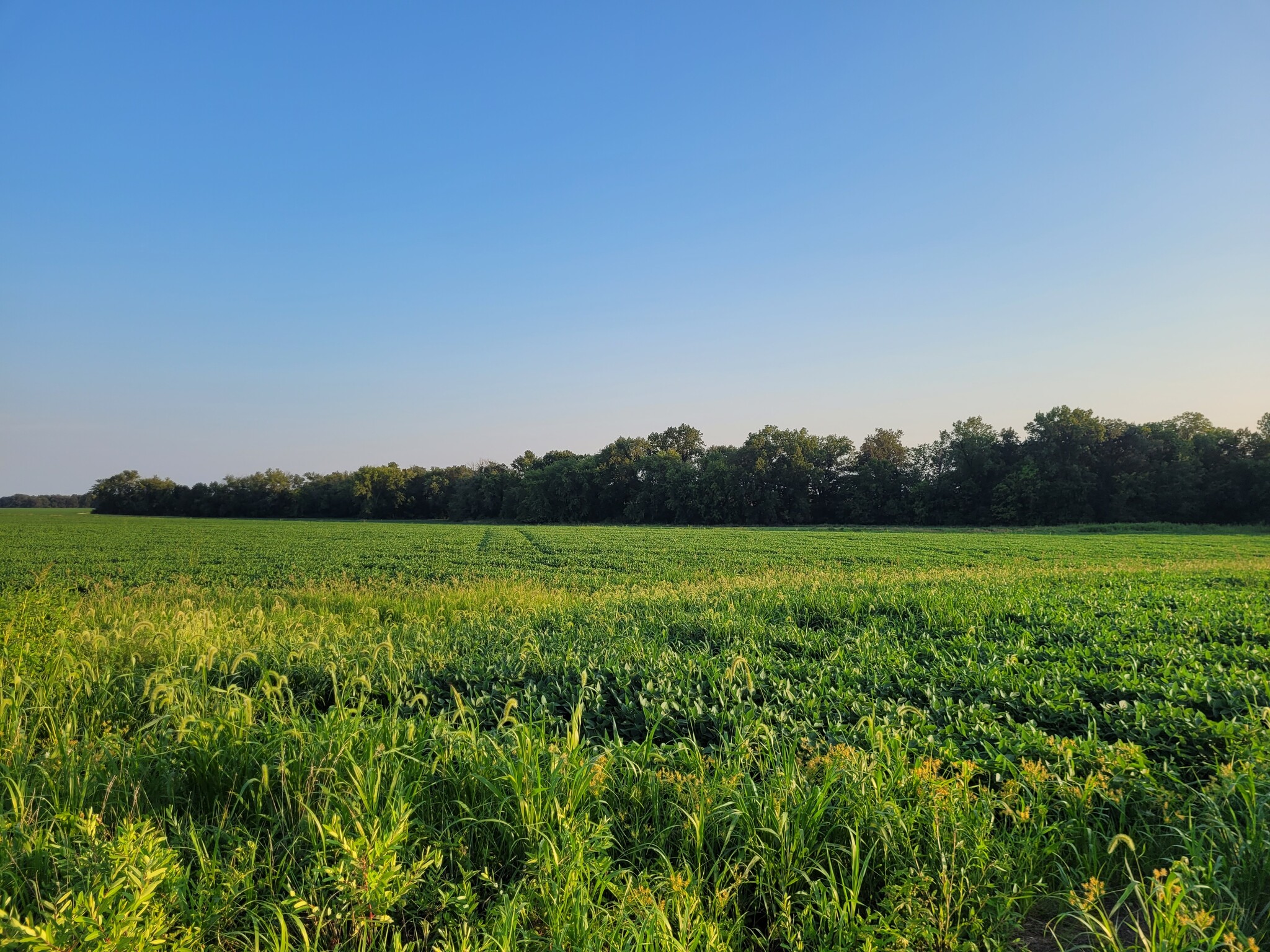 Highway DD (123.22 ac) Tract A, Bellflower, MO à vendre Autre- Image 1 de 34