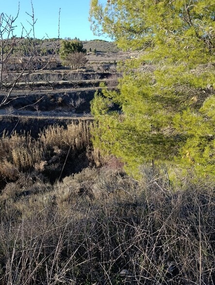Land in Bullas for sale - Building Photo - Image 2 of 8