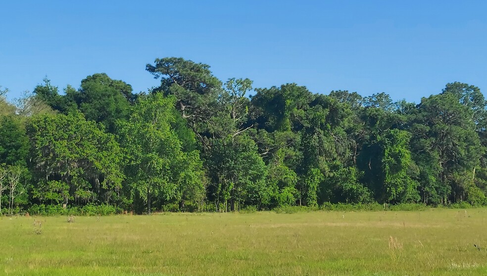 TBD Hwy 475, Oxford, FL à vendre - Photo int rieure - Image 3 de 8