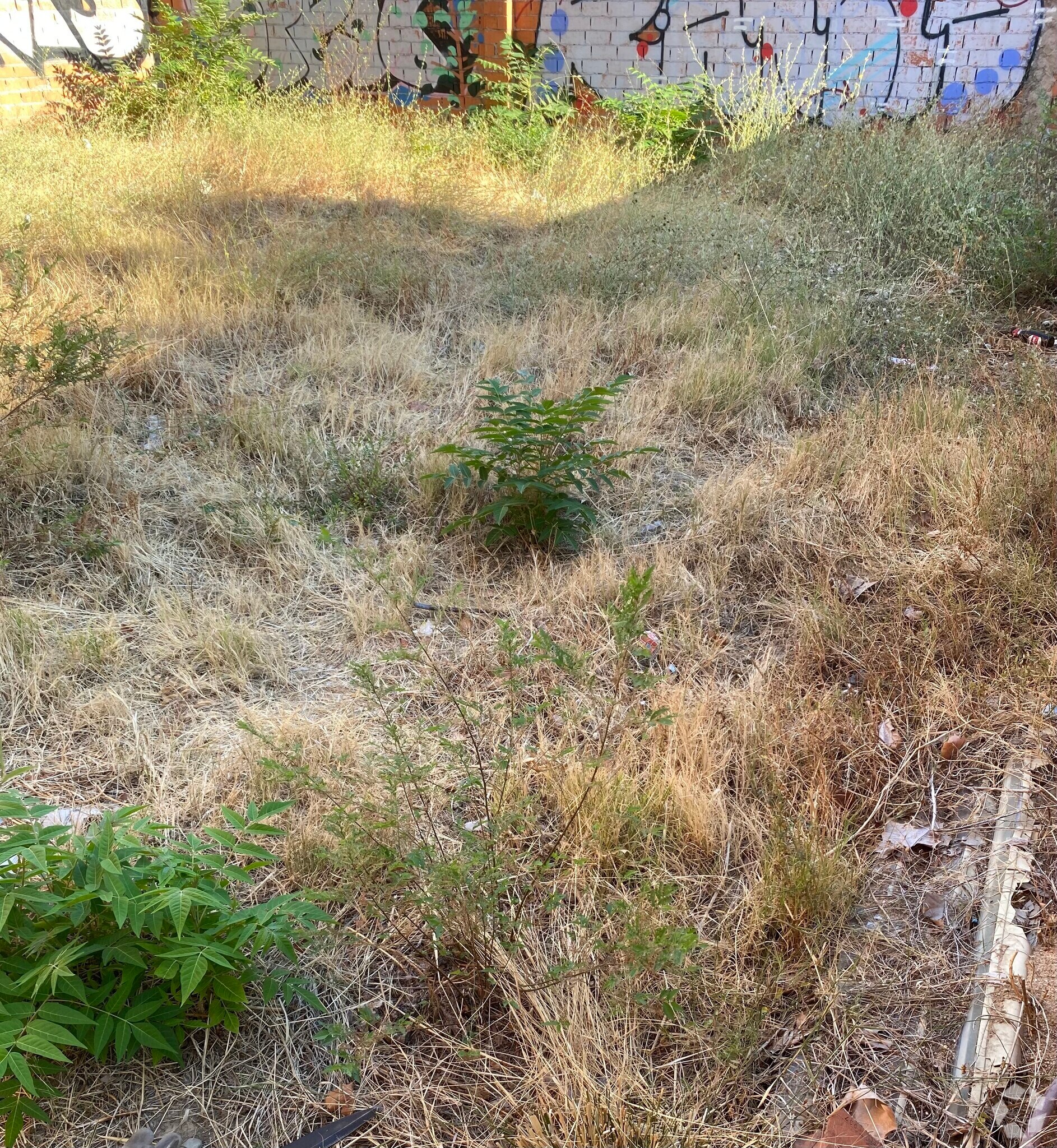 Terrain dans Madrid, Madrid à vendre Photo principale- Image 1 de 2