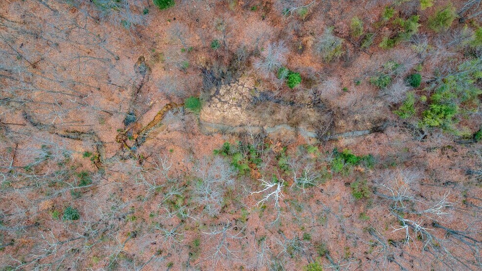 2509 Caton Hill Rd, Woodbridge, VA à vendre - Photo du bâtiment - Image 3 de 24