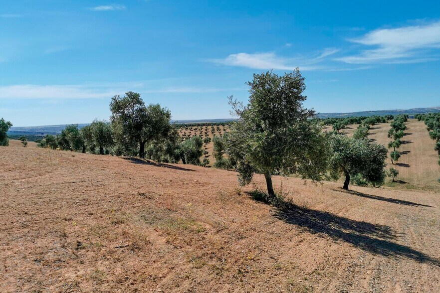 Llano Salviar Polígono, 13, Parcela: 20, Huelma, Jaén for sale - Aerial - Image 3 of 6