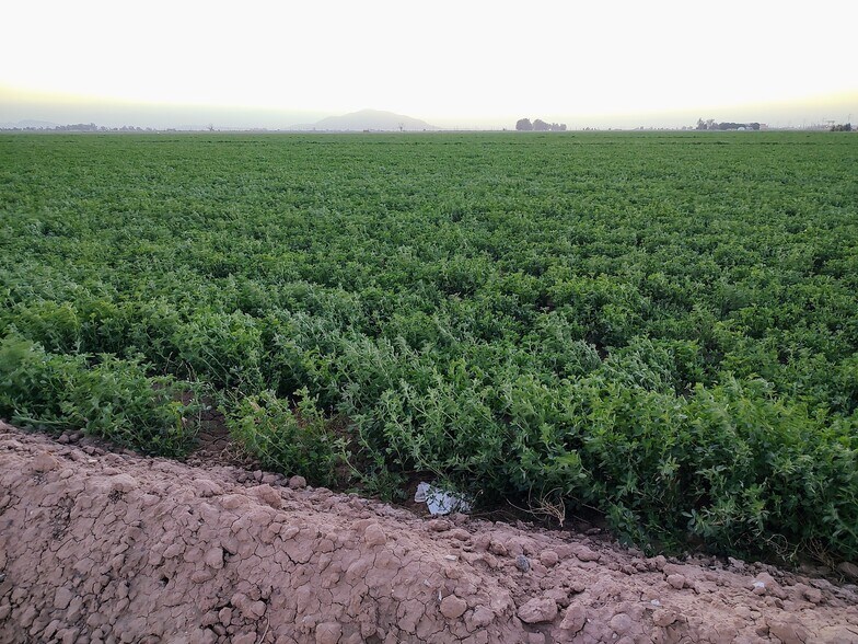 Terrain dans Calexico, CA à vendre - Autre - Image 3 de 3