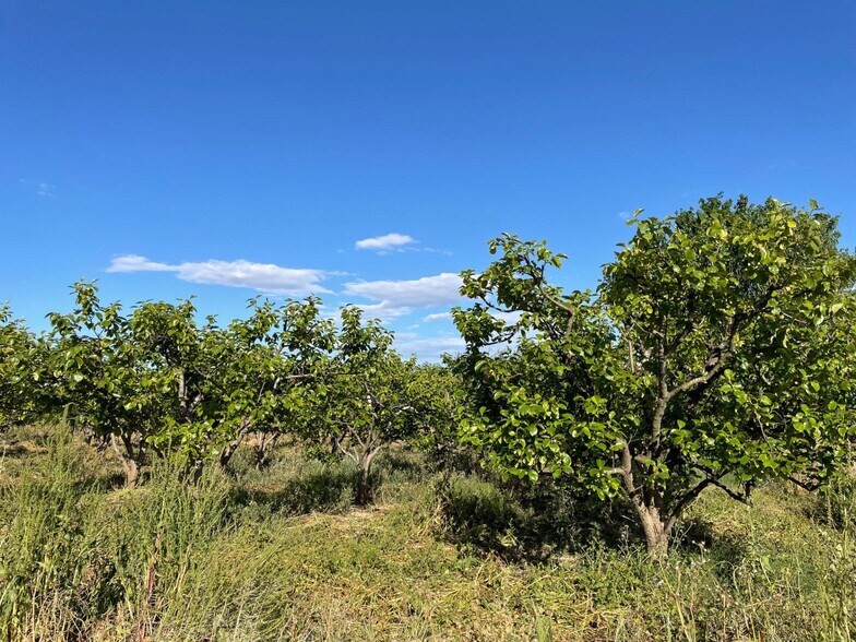 Numero, 302, Benimodo, Valencia for sale - Building Photo - Image 3 of 4