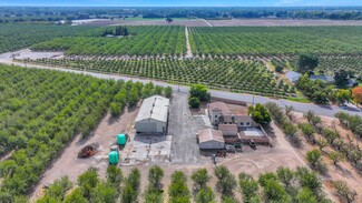 Plus de détails pour 21549 E River Rd, Escalon, CA - Terrain à vendre