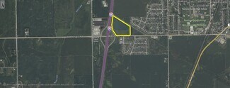 Plus de détails pour 8650 Wilmington rd, Peotone, IL - Terrain à vendre