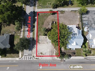 Plus de détails pour 411 E Palm Ave, Tampa, FL - Terrain à vendre