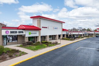 Plus de détails pour 1090-1170 S Roselle Rd, Schaumburg, IL - Commerce de détail à louer