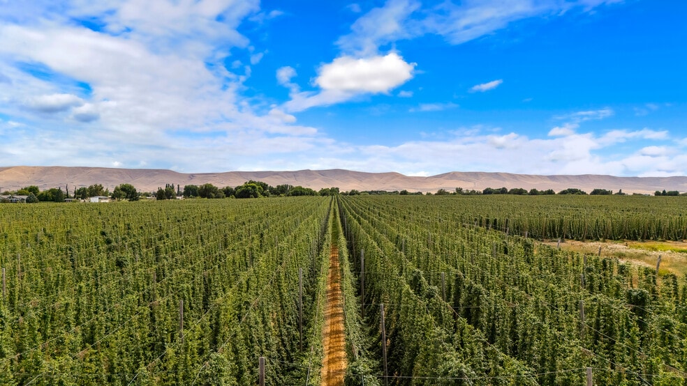 Apricot Rd, Grandview, WA for sale - Other - Image 2 of 4