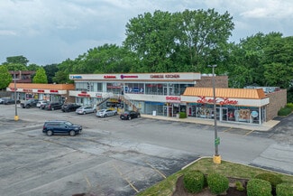 More details for 1001-1037 W Ogden Ave, Naperville, IL - Office, Retail for Lease