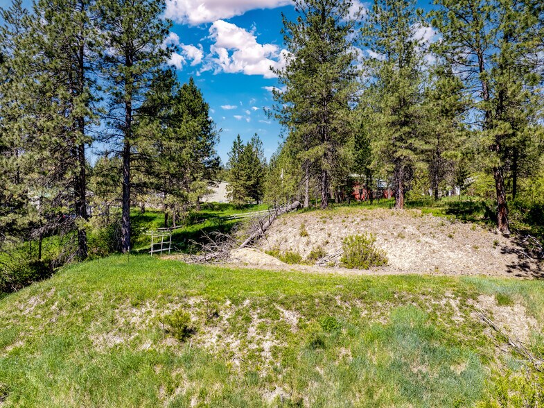 Lot 44 Scriver Creek, Garden Valley, ID à vendre - Aérien - Image 3 de 8