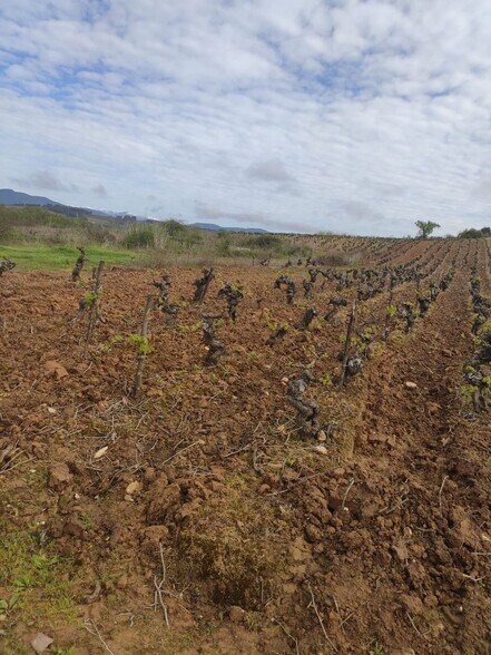 Polígono, S/N, Camponaraya, León for sale - Building Photo - Image 2 of 6